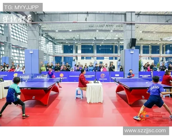 西安乒乓球队进攻策略深度解析与技术创新探讨